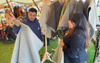 RAP-E fortaleció la articulación regional durante el Cundinamarca Fest 2025