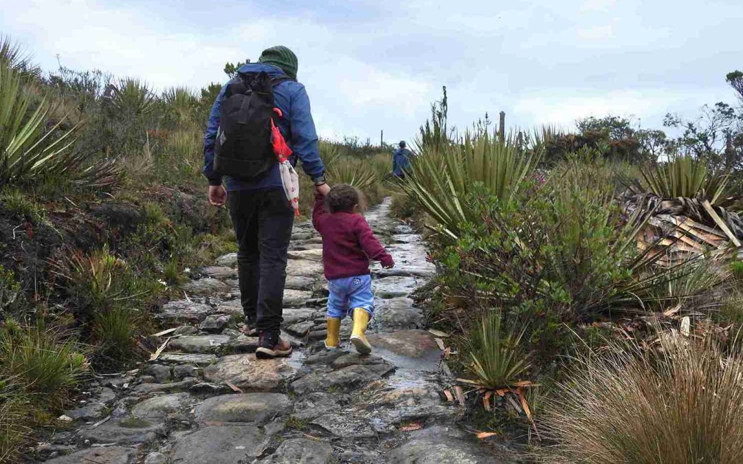 RAP-E y WWF Colombia impulsan una red de custodios del agua para fortalecer la seguridad hídrica en la Región Central
