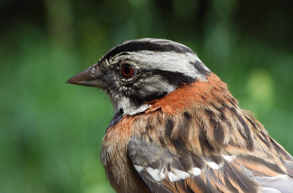 A un clic: La información ambiental de Bogotá llega a la Región Central