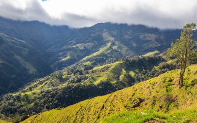 RAP-E pone en marcha el Sistema Territorial de Calidad Turística y lanza piloto en cuatro municipios de la Región Central