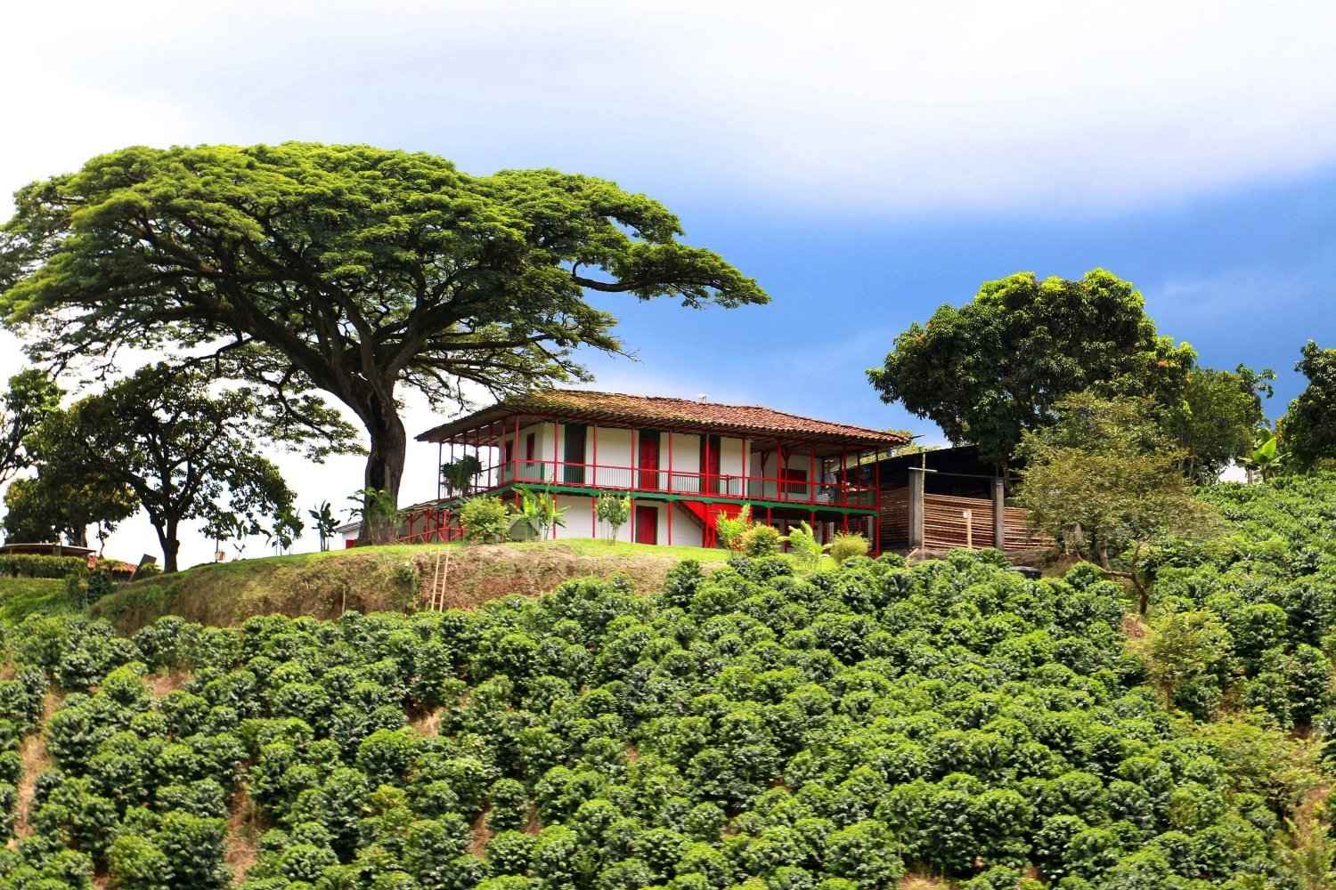 Acciones de identidad regional y gestión del territorio en la Región Central