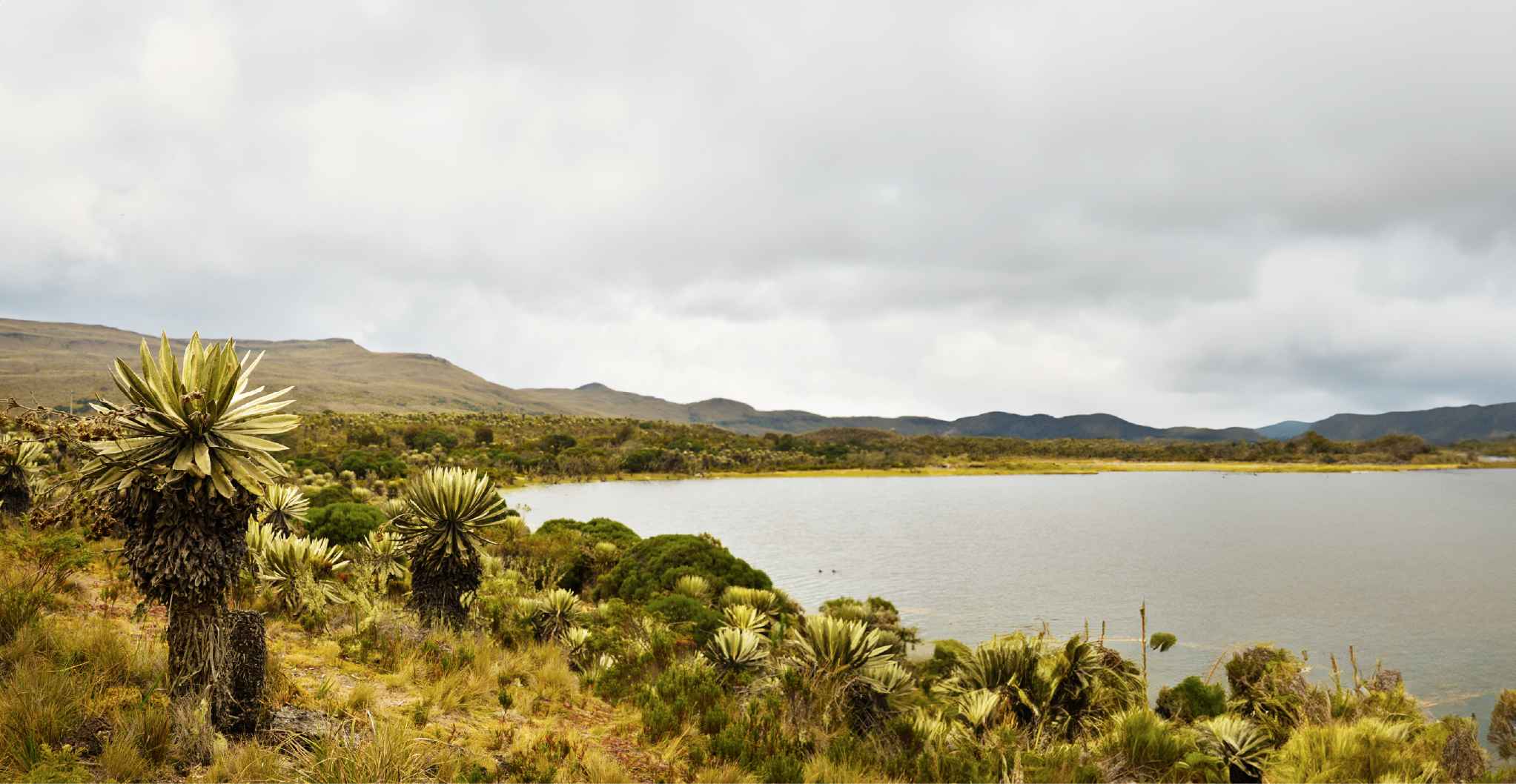 Acciones del Plan de Seguridad Hídrica de la Región Central