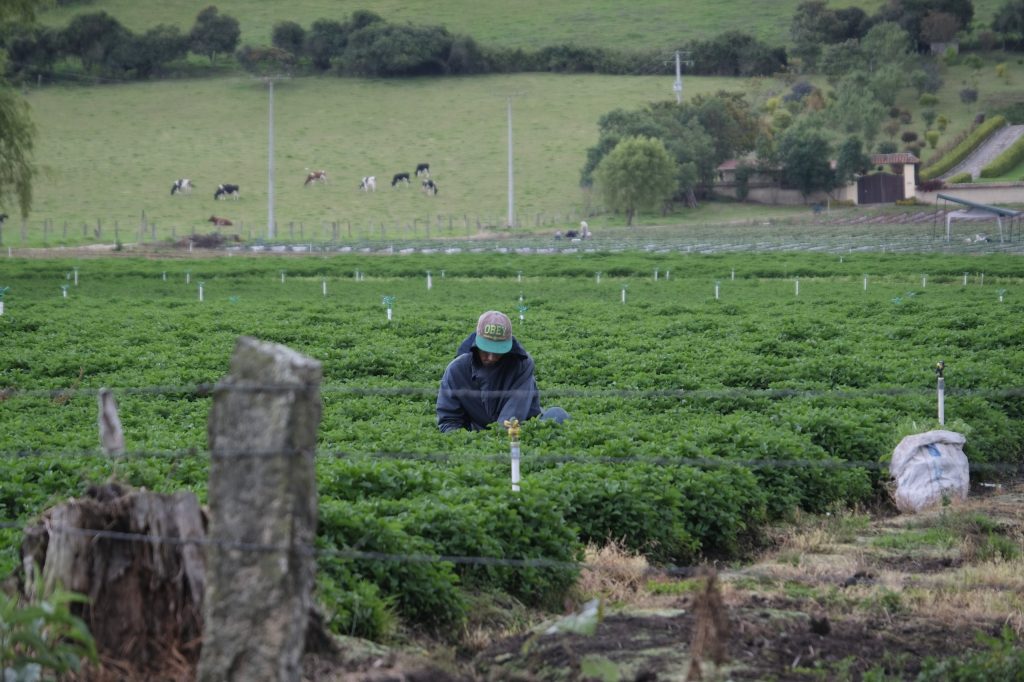 Paisajes Productivos y Sostenibles completa su primer año consolidando acciones para planificar y transformar los territorios rurales de la Región Central