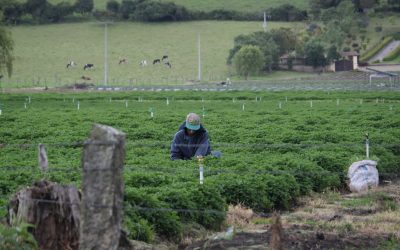 Paisajes Productivos y Sostenibles completa su primer año consolidando acciones para planificar y transformar los territorios rurales de la Región Central