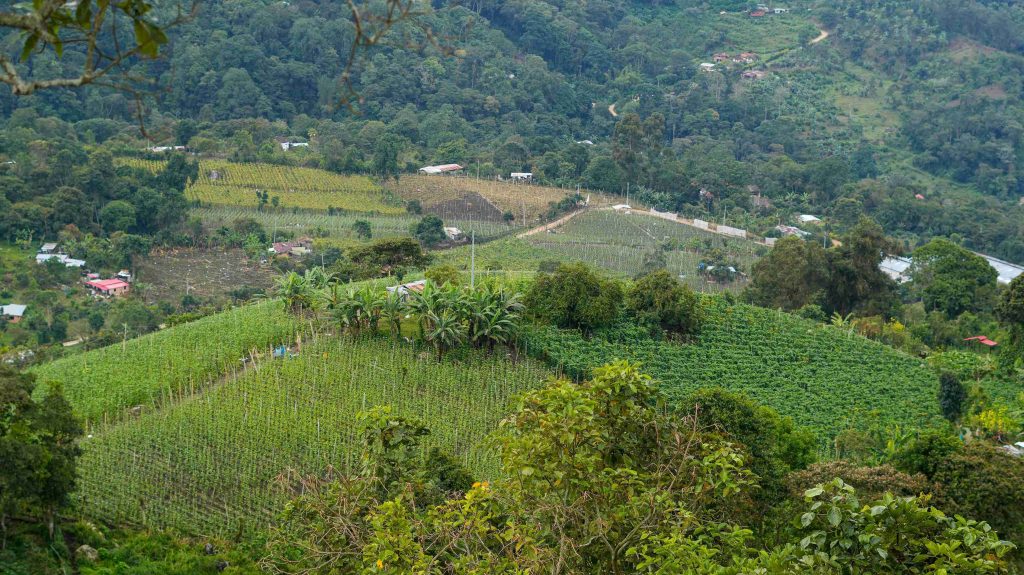 Nueva guía impulsa la implementación de Paisajes Productivos Sostenibles en la Región Central