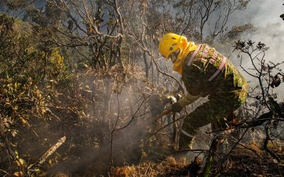 Aunque llueva, El Niño mantiene el riesgo de incendios y escasez de agua en la Región Central
